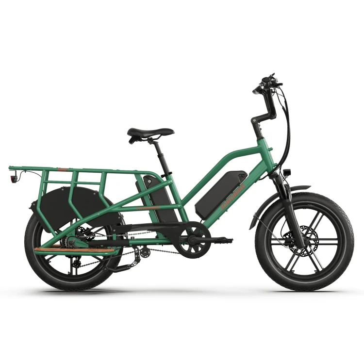 JOBOBIKE_Transer_-_cargo_elektryczny_rower_transportowy_Zielony_36950cd2-67a9-4fd1-862b-e2ec8f7ab443.jpg.webp