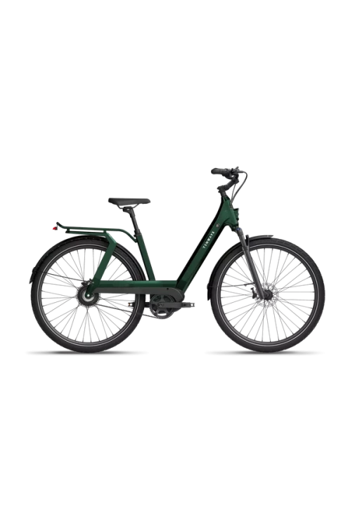 rower-tenways-ago-t-e-bike-480-mm-jungle-green.jpg