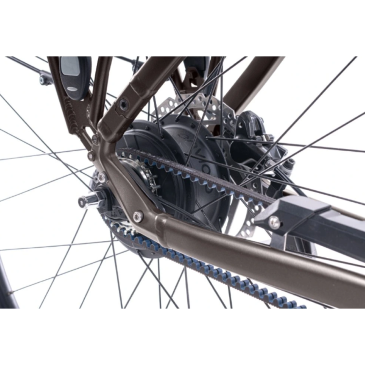 Levit BELECO 3 (6).png
