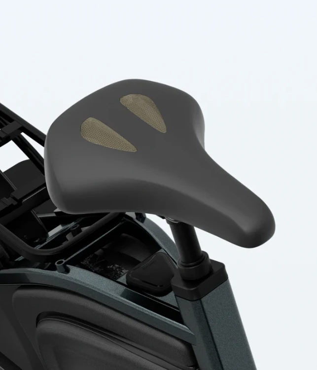 Royalgel_Saddle_710x.webp