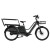tenways-long-tail-duo.jpg
