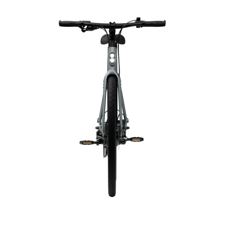 CGO600Plus Ebike (1).webp