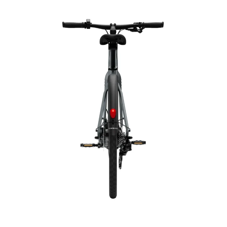 CGO600Plus Ebike (2).webp