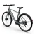 CGO600Plus Ebike.webp