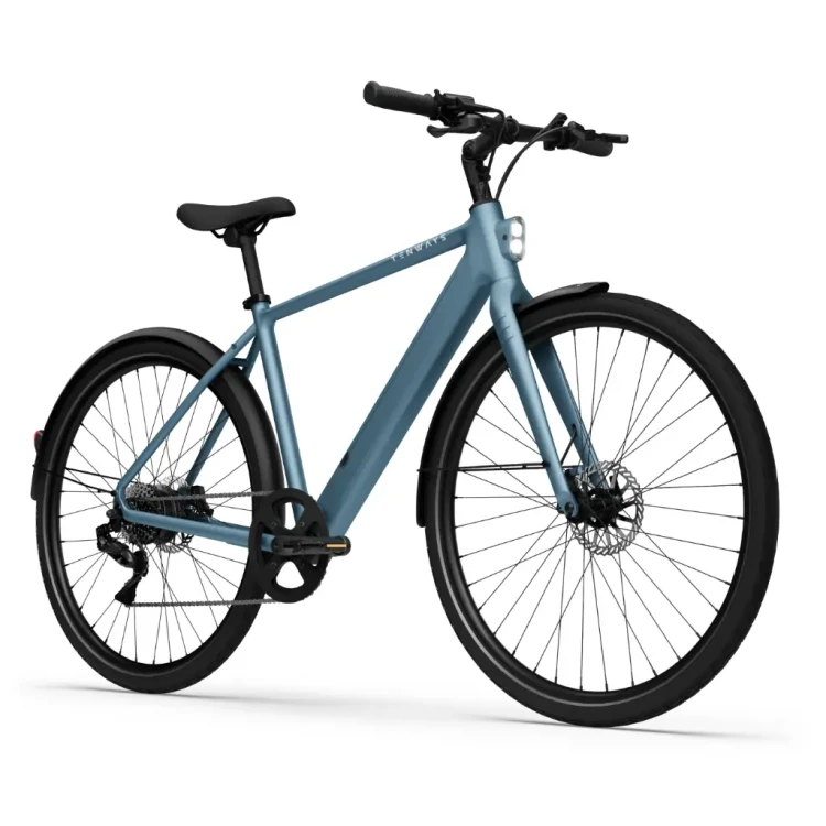 CGO600Plus Ebike (3).webp